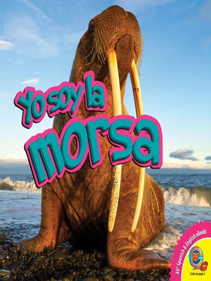cover image of La morsa